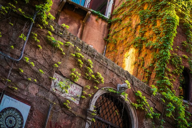 Venedig Ökologisch Garten Mauer