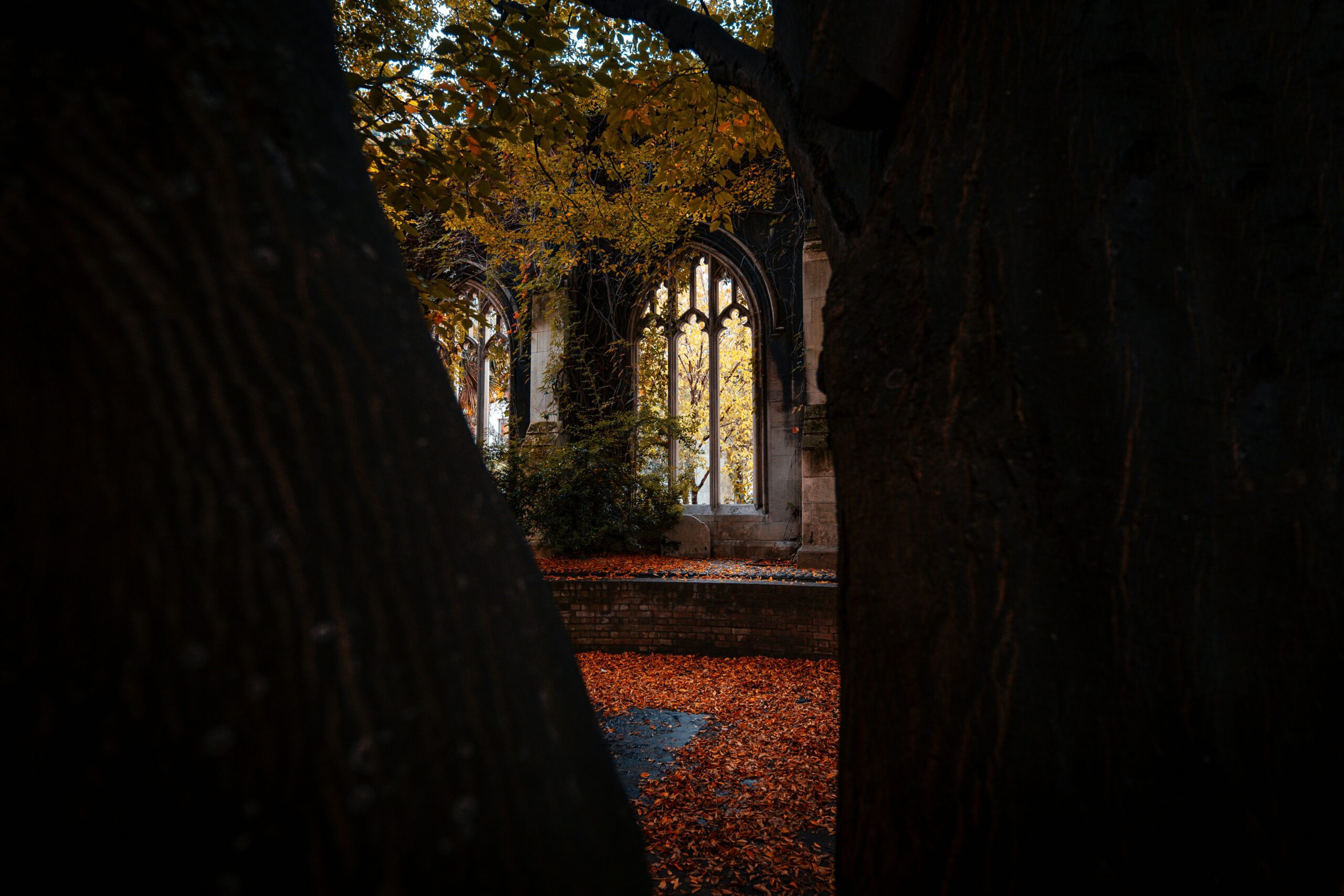 Jardins cachés de Venise 1