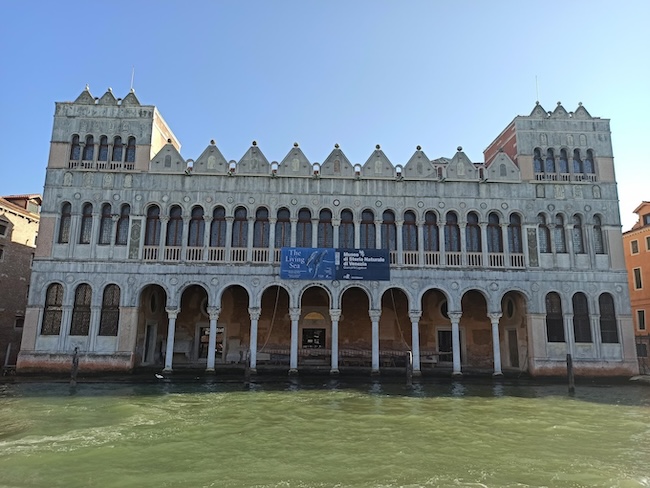 Museo di Storia Naturale Venezia 1