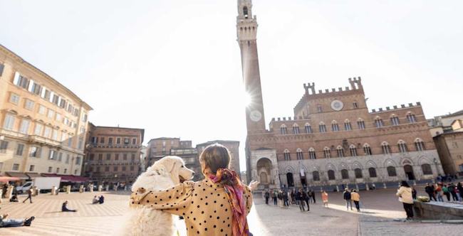 Venedig mit einem Hund 1